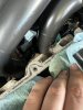 IMG_5831.jpeg