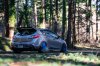 Zack Forest 4 - Shifted Optics.jpg