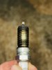 IMG_1070.jpeg