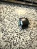 upload_2025-5-7_16-24-49.jpeg