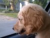 IMG_20110619_194652.jpg