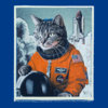isvs_space_cat_take_off_dd.jpg